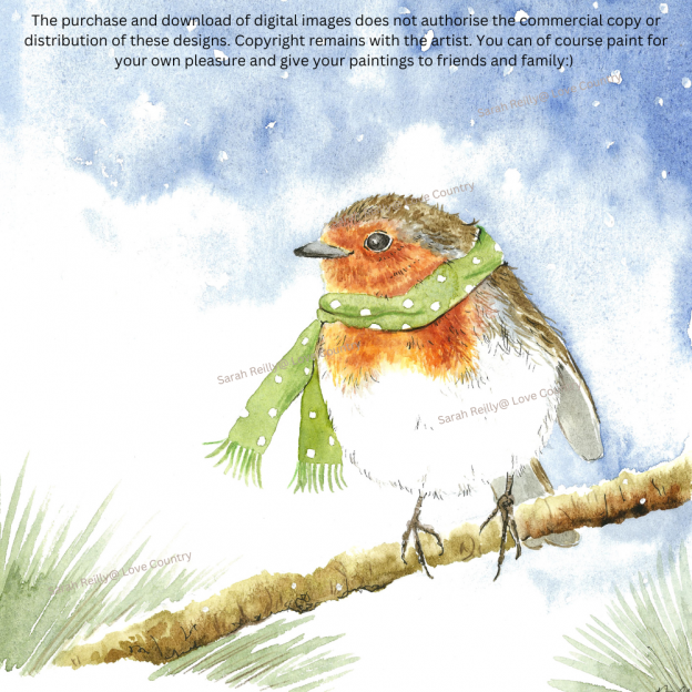 Paint your own little robin Christmas Card