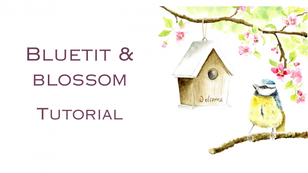 Bluetit & Blossom