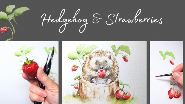 Hedgehog and Strawberries