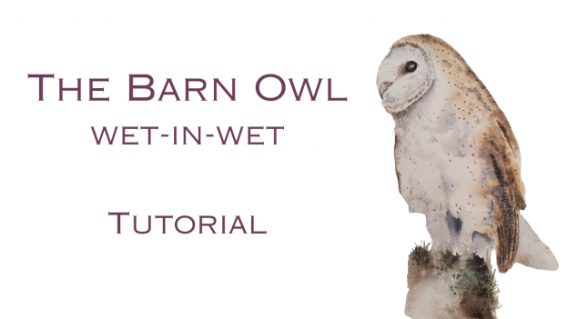 Barn Owl Tutorial