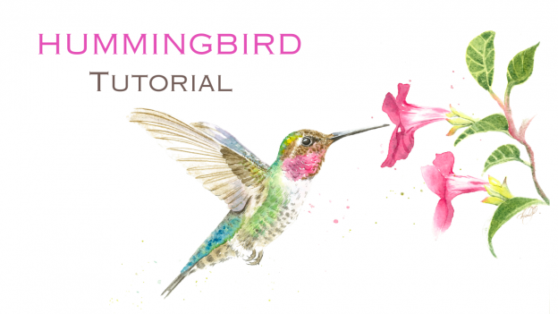 Hummingbird & Hibiscus Flower
